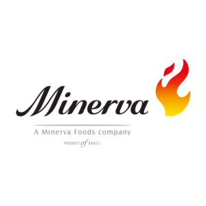 10_Minerva